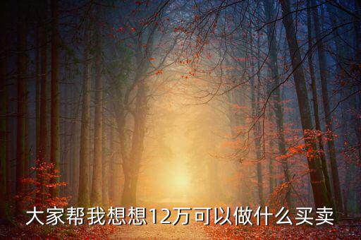 12萬(wàn)投資什么項(xiàng)目，投資十二萬(wàn)元能做什么呢
