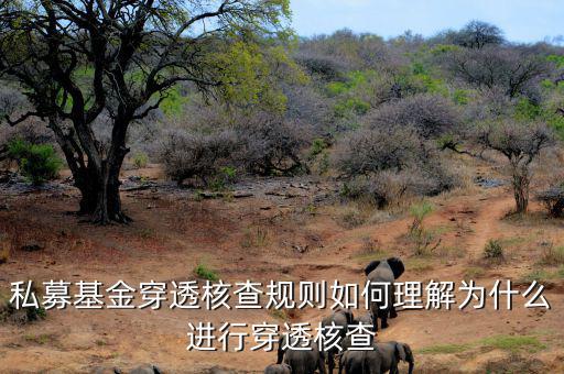 基金的穿透是什么意思，私募基金合格投資者的穿透核查怎么理解