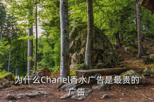 為什么要拍史上最貴廣告，為什么央視新聞聯(lián)播時段的廣告是最貴