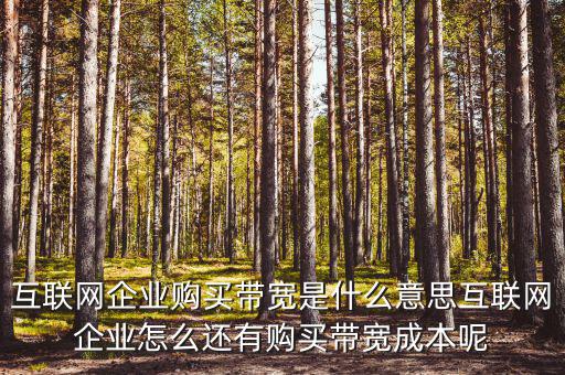 帶寬采購(gòu)是什么意思，請(qǐng)問帶寬出口批發(fā)是什么出口的定義是 麻煩幫幫忙