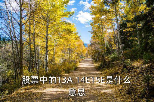 市盈率13a什么意思，財(cái)務(wù)報(bào)表中13A 14E 是什么意思