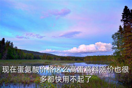 蛋氨酸價格為什么上漲，蛋氨酸持續(xù)走高面對利潤壓縮售價漲還是不漲歡迎討論