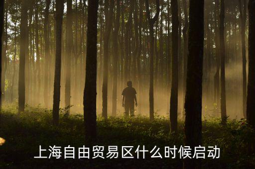 上海自貿(mào)區(qū)什么時(shí)候開放，上海自由貿(mào)易區(qū)什么時(shí)候啟動