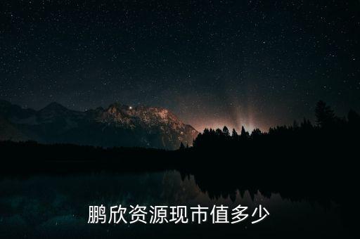 鵬欣資源是什么公司，鵬欣資源現(xiàn)市值多少
