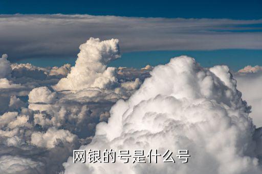 民生網(wǎng)銀客戶號是什么，網(wǎng)銀的號是什么號
