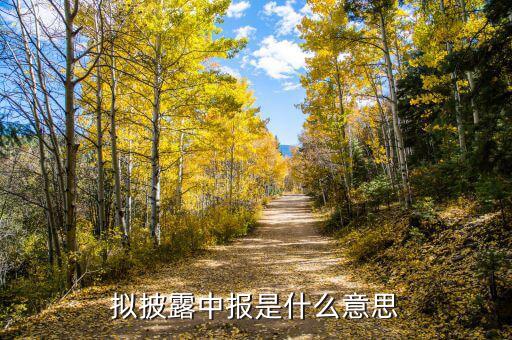 翌日披露報(bào)表是什么意思，什么是翌日披露報(bào)表
