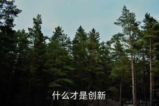 什么的創(chuàng)新，創(chuàng)新的定義是什么