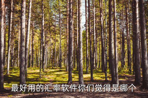 外匯用什么軟件，什么外匯交易軟件最好