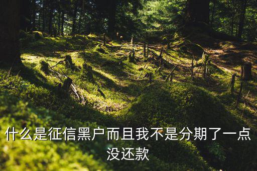 什么樣的征信算黑戶，什么是征信黑戶而且我不是分期了一點(diǎn)沒(méi)還款