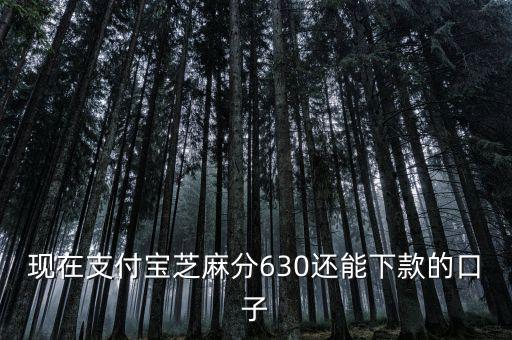 支付寶口子是什么意思，支付寶口子是什么意思