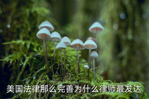 為什么美國賠償那么高，美國人為什么那么高