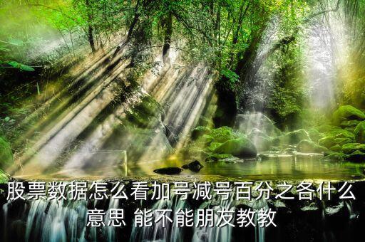 證券如何看漲停加減什么意思，漲停時買一后邊的數(shù)加減是什么意思