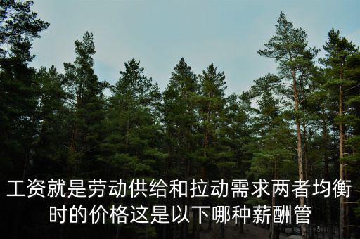 市場決定論是什么，什么是市場決策