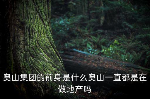 奧山集團的前身是什么奧山一直都是在做地產嗎