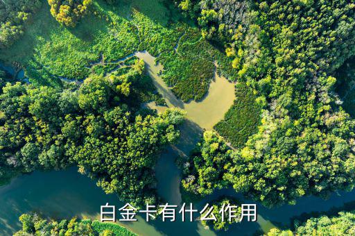 興業(yè)白金卡有什么好處，白金卡有什么作用