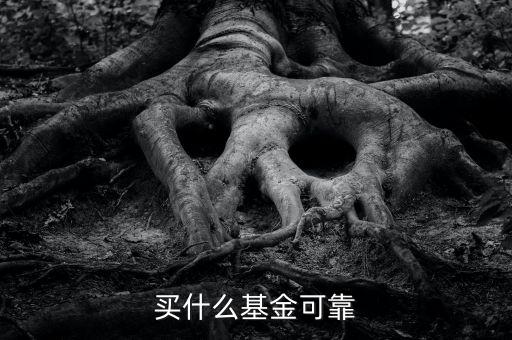什么基金靠譜，哪些基金公司比較靠譜