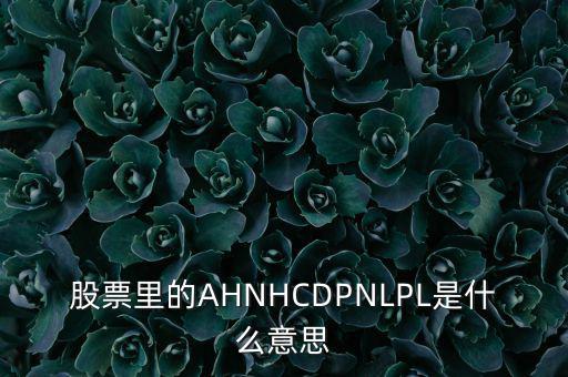 股票nl是什么意思，股票里的AHNHCDPNLPL是什么意思