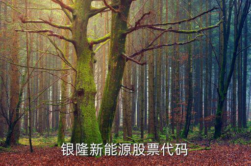銀龍股份什么時候上市，銀隆新能源股票代碼