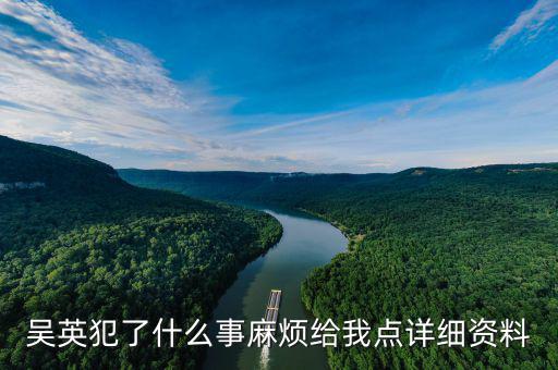 吳英什么案，吳英案到底是怎么回事