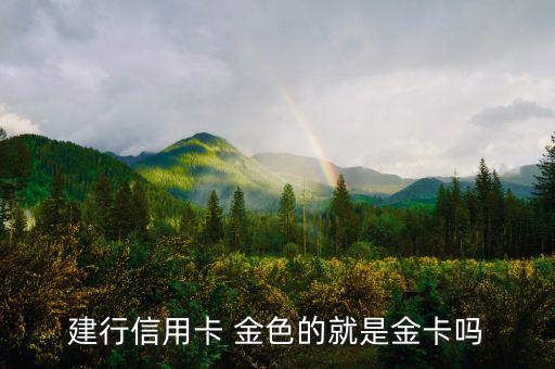 建設(shè)銀行信用卡什么卡種是金卡，我申請(qǐng)建設(shè)銀行的信用卡我申請(qǐng)的是金卡審核通過(guò)了上面寫的卡