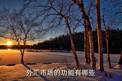 外匯有什么用，外匯市場(chǎng)的功能有哪些