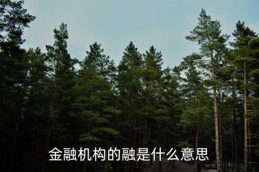 金融機(jī)構(gòu)的融是什么意思，融資中的融是什么意思