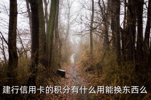 建行信用卡積分能兌換什么，請問下建行信用卡1萬多積分可以換什么