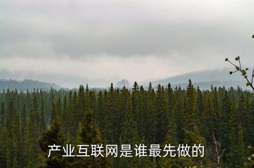 產(chǎn)業(yè)互聯(lián)網(wǎng)是什么龍頭，產(chǎn)業(yè)互聯(lián)網(wǎng)是誰(shuí)最先做的