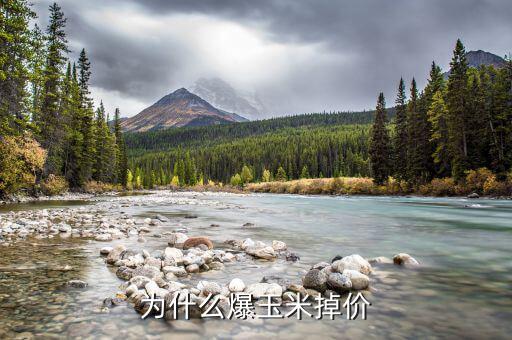 玉米價格為什么下跌，現(xiàn)在的玉米價格是多少為什么糧食價格下跌