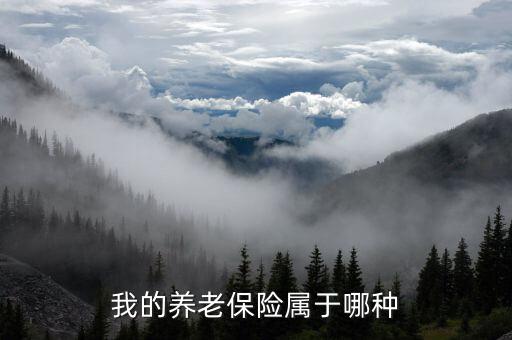 養(yǎng)老保險(xiǎn)屬于什么保險(xiǎn)，養(yǎng)老保險(xiǎn)屬于什么保險(xiǎn)