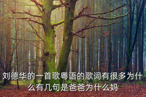 法為什么對is空襲，劉德華的一首歌粵語的歌詞有很多為什么有幾句是爸爸為什么媽