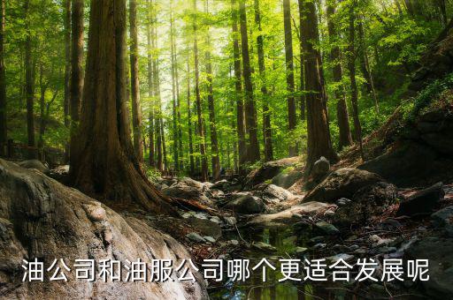 油服行業(yè)是什么，在油服公司做hr是做些什么
