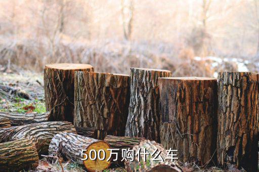 500萬身家開什么車，500萬人民幣可買什么車