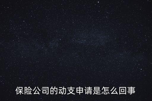 什么是動支申請，怎么樣支申請