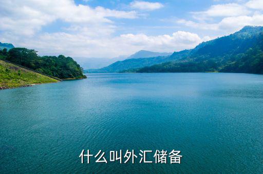 什么是外匯儲備，什么叫外匯儲備