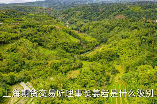 上交所理事長什么級別，上海期貨交易所理事長姜巖是什么級別