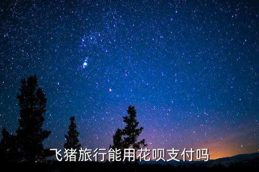 阿里巴巴abs什么時(shí)候推出的，交易貓可以用螞蟻花唄支付嗎