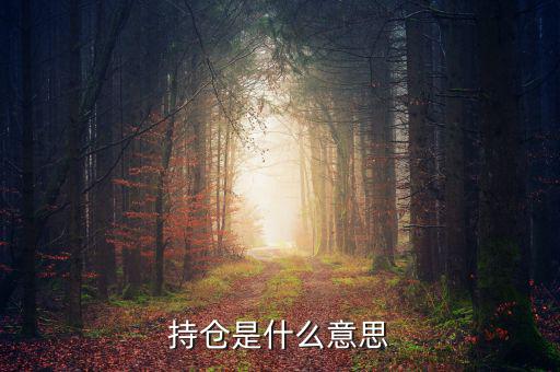 什么是買持倉，持倉是什么意思