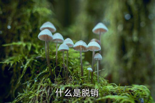 什么是脫銷(xiāo)