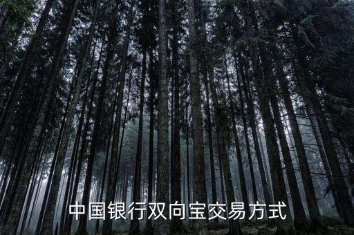 中國銀行雙向?qū)毷鞘裁?，中國銀行雙向?qū)殬I(yè)務(wù)詳細(xì)介紹