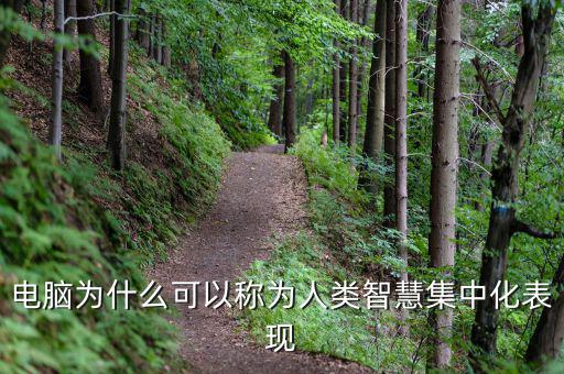電腦為什么能夠做人工智能，電腦為什么可以稱為人類智慧集中化表現(xiàn)