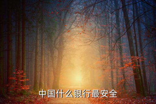 什么銀行安全，世界上什么銀行最安全