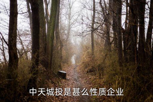 中天城投是什么概念，中天城投在這么些年的發(fā)展中涉及了哪些行業(yè)