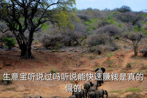 生意寶聽說(shuō)過(guò)嗎聽說(shuō)能快速賺錢是真的假的