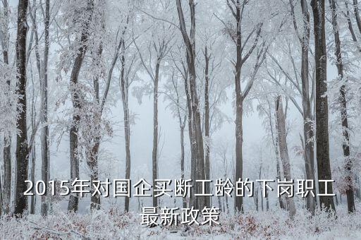 中鋁公司買斷有什么政策，2015年對國企買斷工齡的下崗職工最新政策
