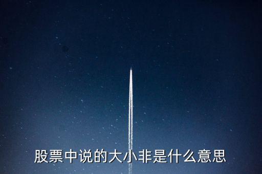 股市大小非是什么意思，股市中的大小非是指什么