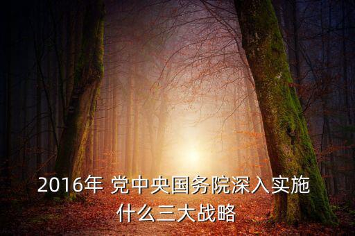 2016年 黨中央國務(wù)院深入實(shí)施 什么三大戰(zhàn)略