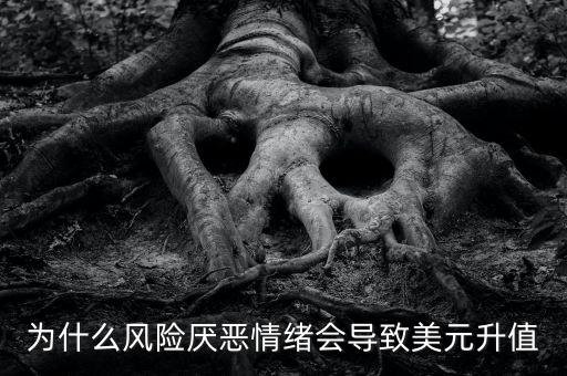 sdr和美元指數(shù)構(gòu)成有什么關(guān)系，為什么A股和美元指數(shù)有關(guān)系