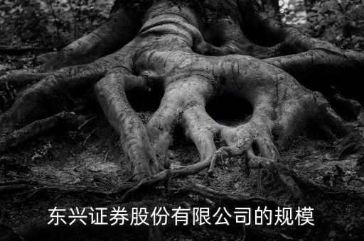 東興證券為什么是龍頭，東興證券這家證券公司怎么樣