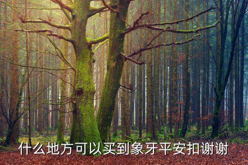 在日本什么地方買象牙制品，什么地方有批發(fā)象牙飾品的